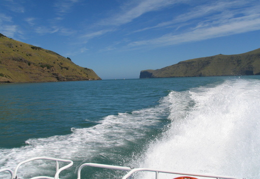 IMG 0531