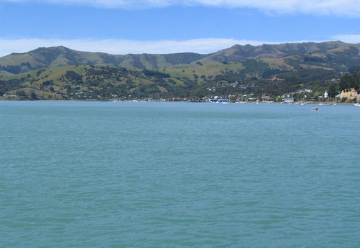 IMG 0534
