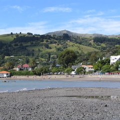 IMG 0537