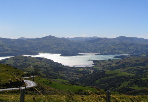 IMG 0541