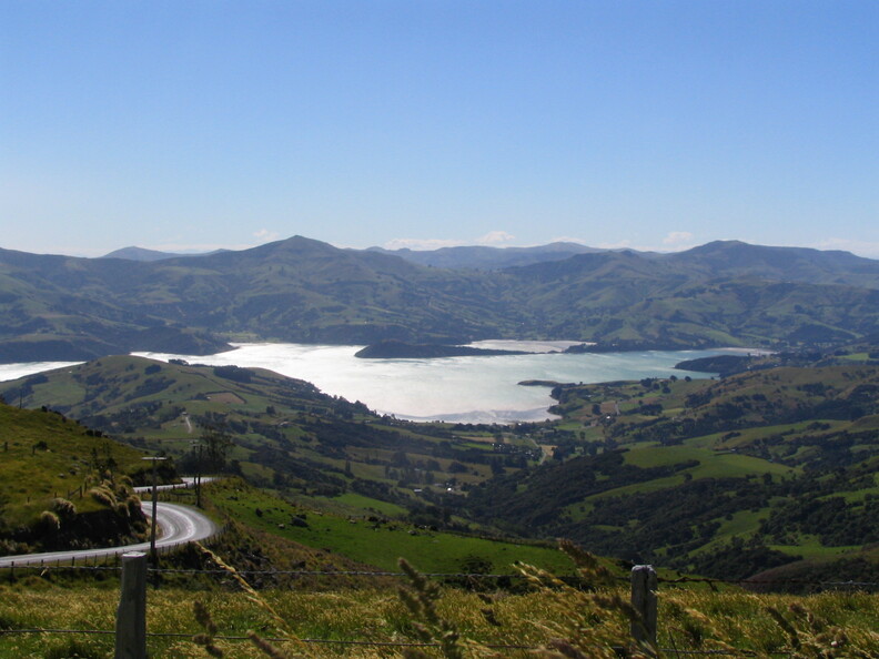 IMG 0541