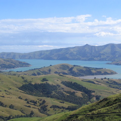 IMG 0542