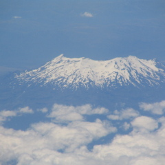IMG 0544