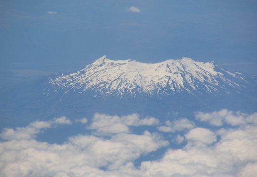IMG 0544