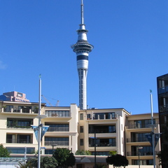 IMG 0546