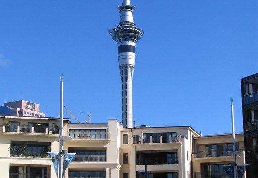 IMG 0546