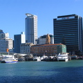 IMG_0547.JPG