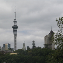 IMG 0556