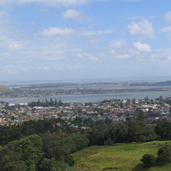 IMG 0565