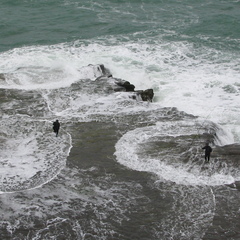img 0093 crop