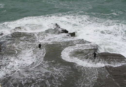 img 0093 crop