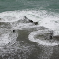 img_0093_crop.jpg