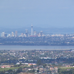 img 0099 crop
