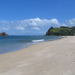 img 0145 crop