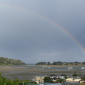 img_0153_crop.jpg