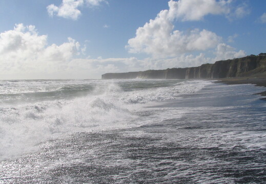 img 0181 crop
