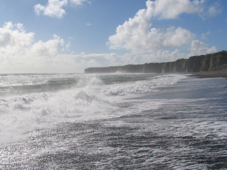 img 0181 crop