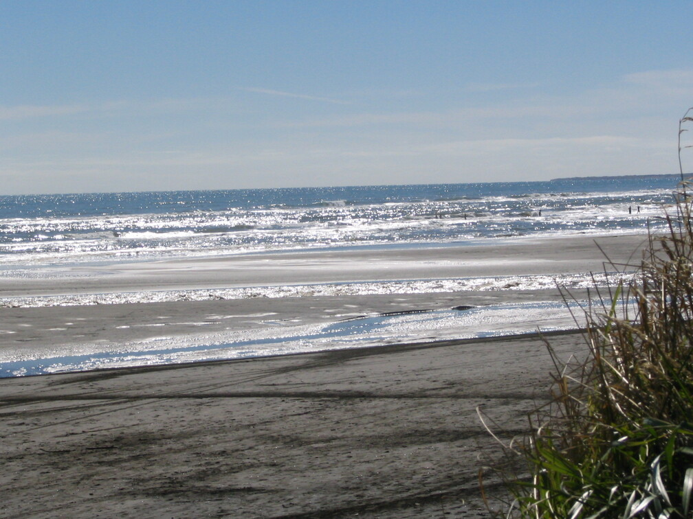 img 0194 crop