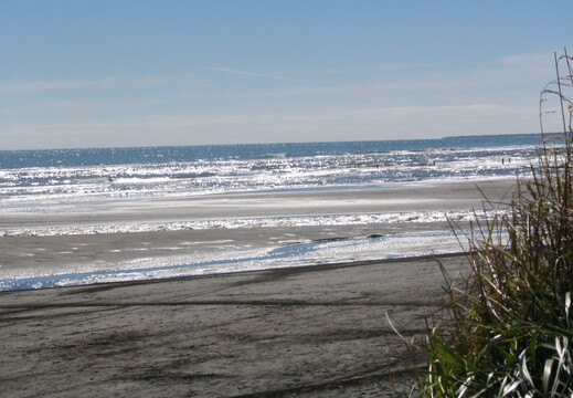 img 0194 crop