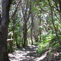img 0277 crop
