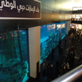 DSC00201