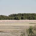 DSC00204