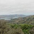 DSC00289