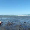 DSC00580