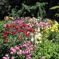 DSC00597