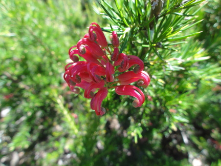 DSC00601