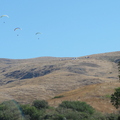 DSC00614