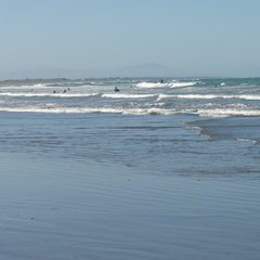 DSC00655