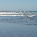 DSC00655