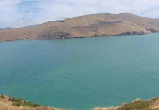 DSC00701