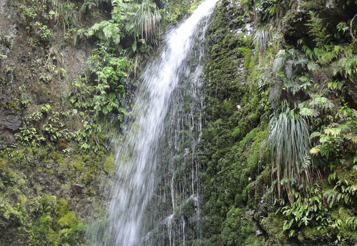 DSC00737