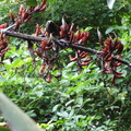 DSC00859
