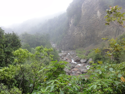 DSC00906