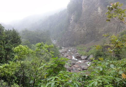 DSC00906