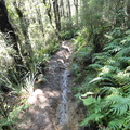 DSC01007