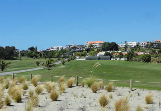 DSC01010