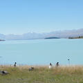 DSC01021