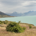 DSC01083
