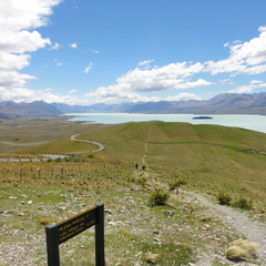 DSC01206
