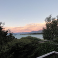 DSC01317