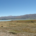 DSC01302