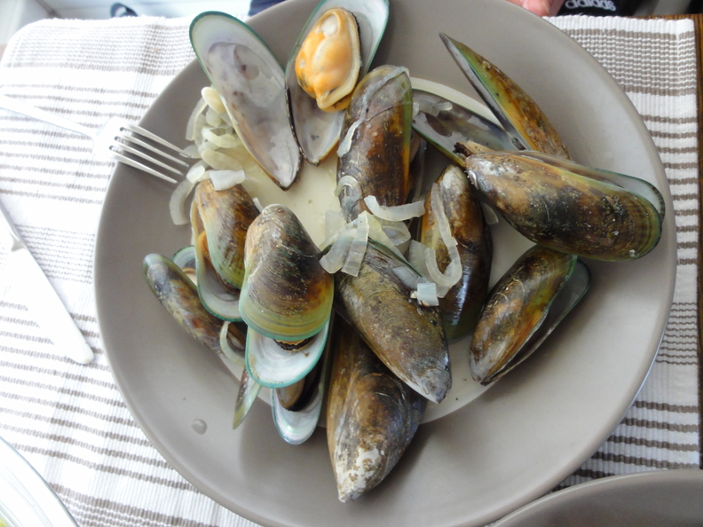 DSC01480.JPG