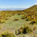 DSC01779