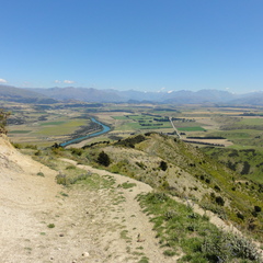 DSC01786