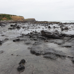 DSC01853