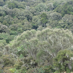 DSC01867